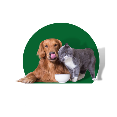 Pets